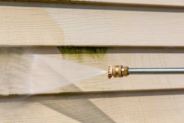 Best House Pressure Washing  in Pimlico, SC