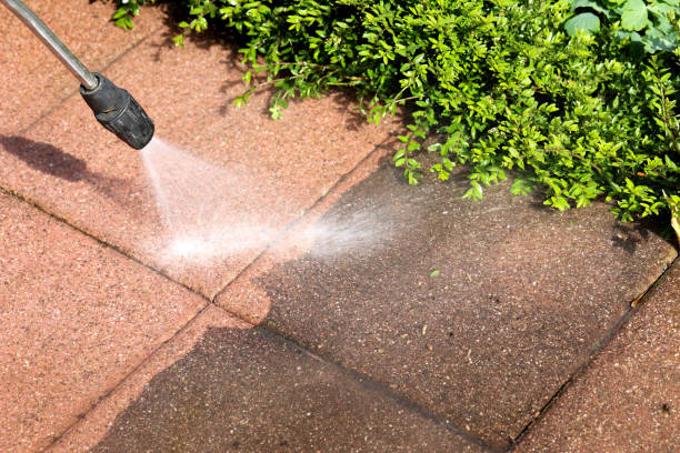 Local Pressure Washing Services in Pimlico, SC